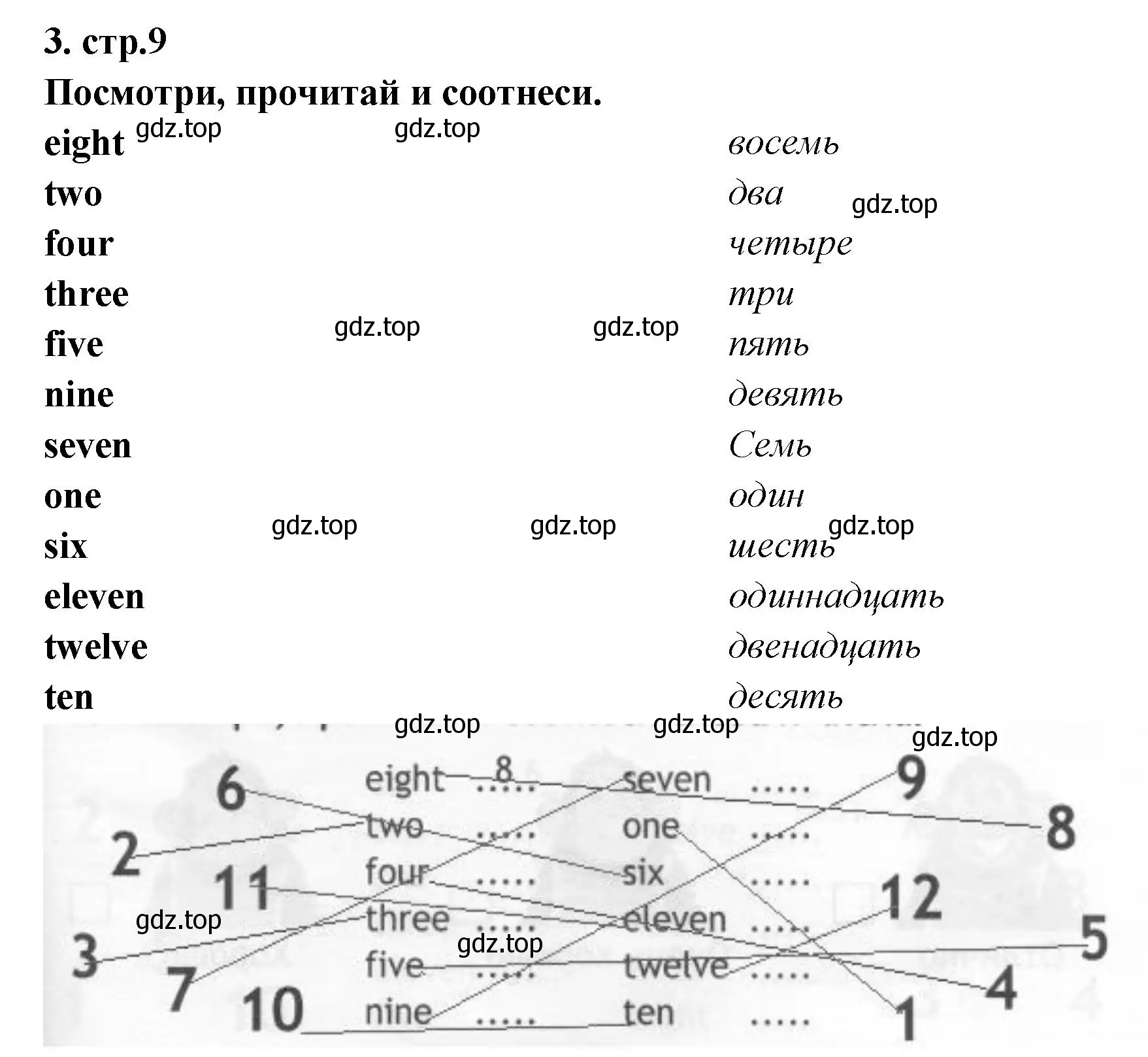 Решение номер 3 (страница 9) гдз по английскому языку 2 класс Быкова, Поспелова, контрольные задания