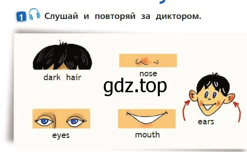 Условие номер 1 (страница 26) гдз по английскому языку 2 класс Быкова, Дули, учебник 2 часть