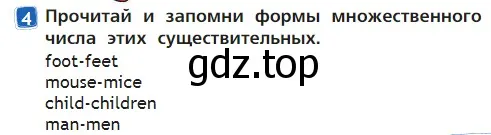 Условие номер 4 (страница 27) гдз по английскому языку 2 класс Быкова, Дули, учебник 2 часть