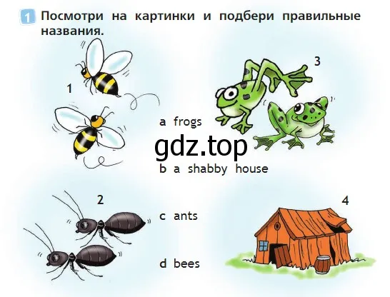 Условие номер 1 (страница 60) гдз по английскому языку 2 класс Быкова, Дули, учебник 2 часть