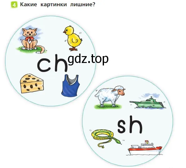 Условие номер 4 (страница 13) гдз по английскому языку 2 класс Быкова, Дули, учебник 1 часть