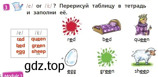 Решение 3. номер 3 (страница 36) гдз по английскому языку 2 класс Быкова, Дули, учебник 1 часть