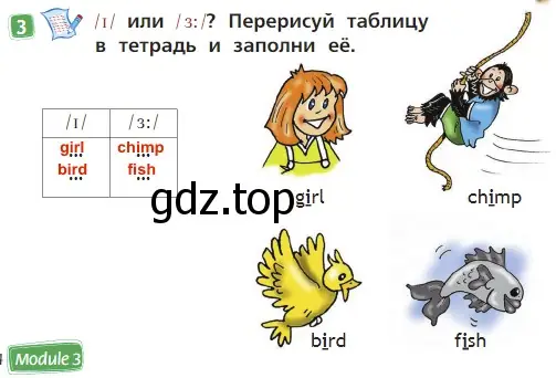 Решение 3. номер 3 (страница 14) гдз по английскому языку 2 класс Быкова, Дули, учебник 2 часть