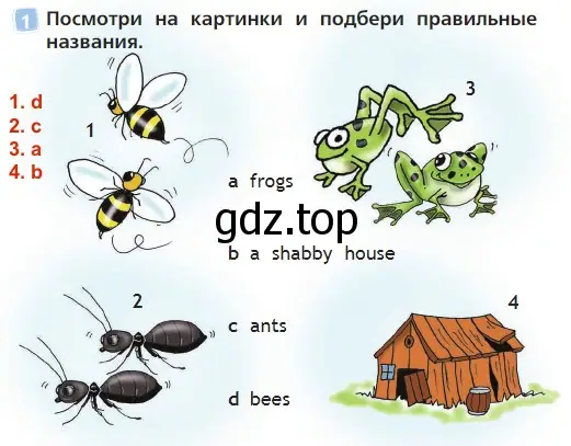 Решение 3. номер 1 (страница 60) гдз по английскому языку 2 класс Быкова, Дули, учебник 2 часть