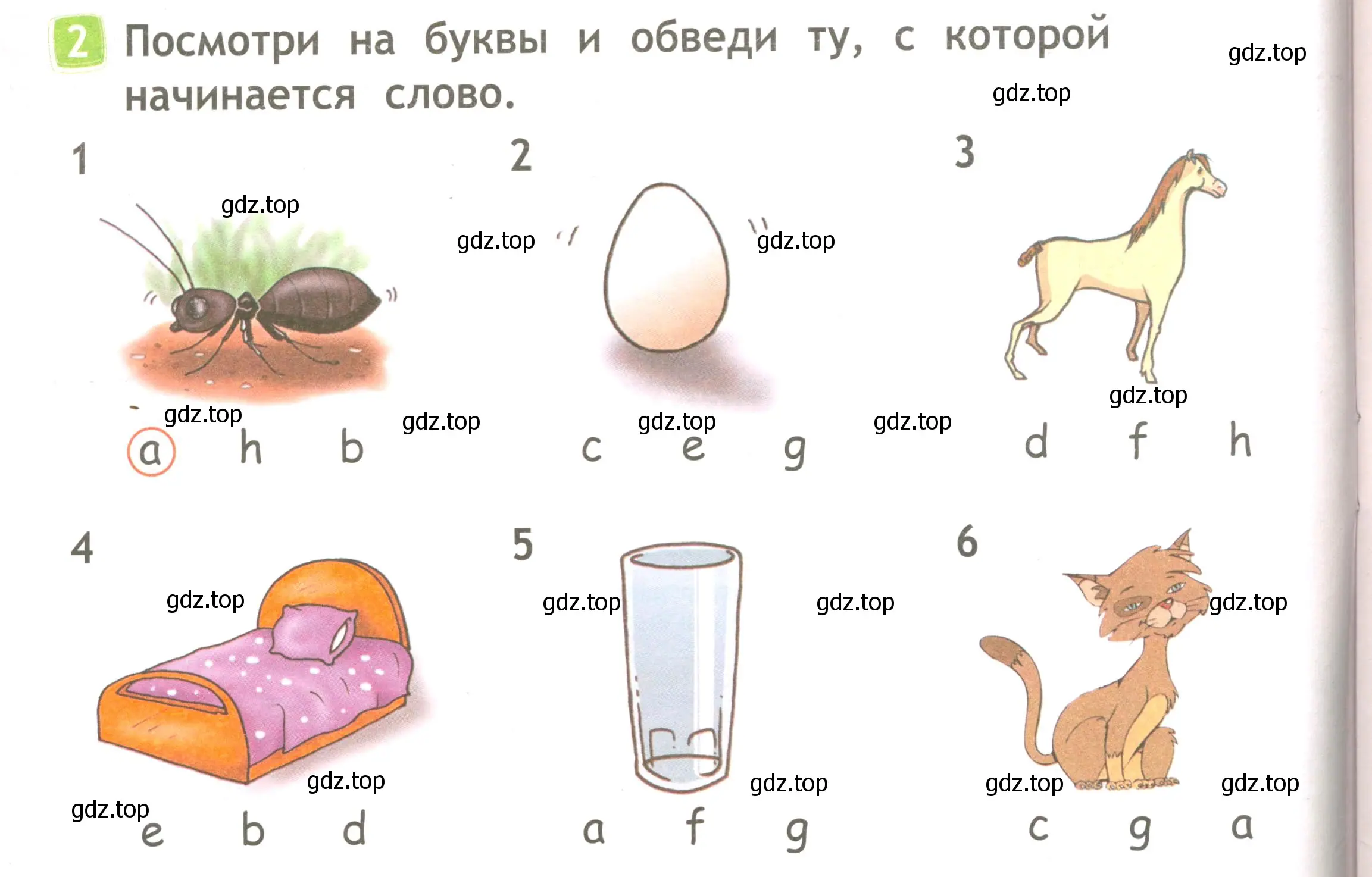 Условие номер 2 (страница 4) гдз по английскому языку 2 класс Быкова, Дули, рабочая тетрадь