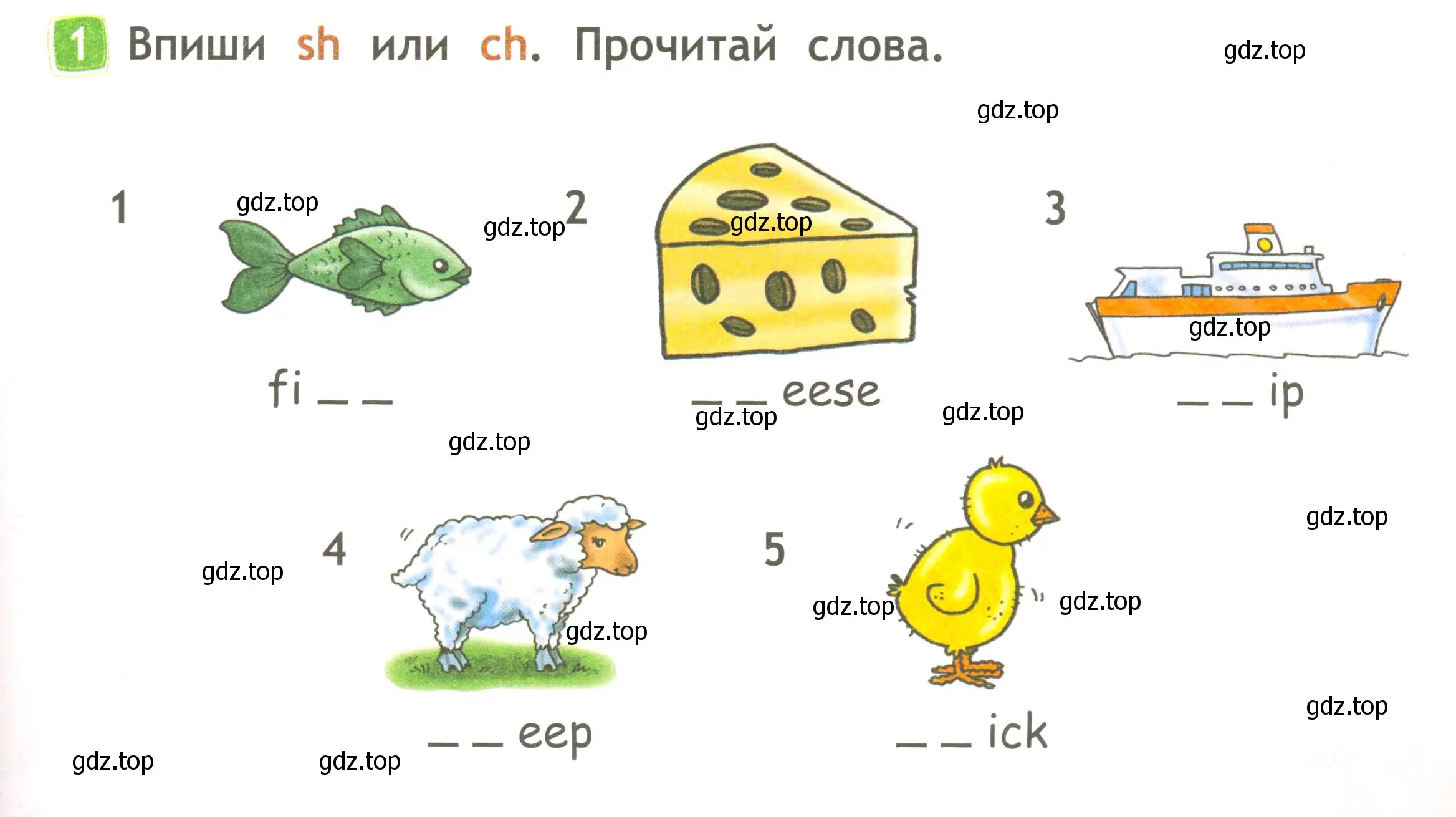 Условие номер 1 (страница 7) гдз по английскому языку 2 класс Быкова, Дули, рабочая тетрадь