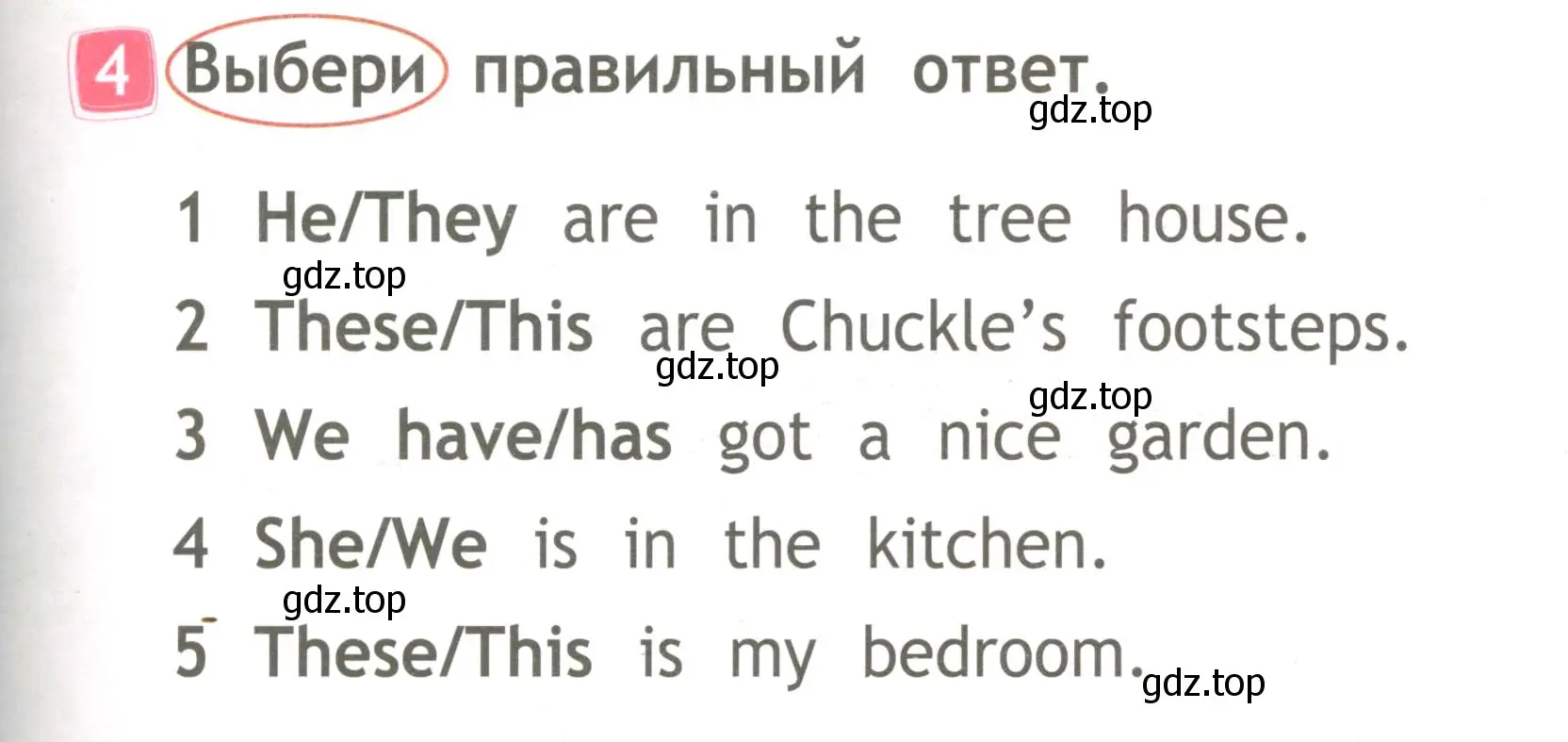 Условие номер 4 (страница 21) гдз по английскому языку 2 класс Быкова, Дули, рабочая тетрадь