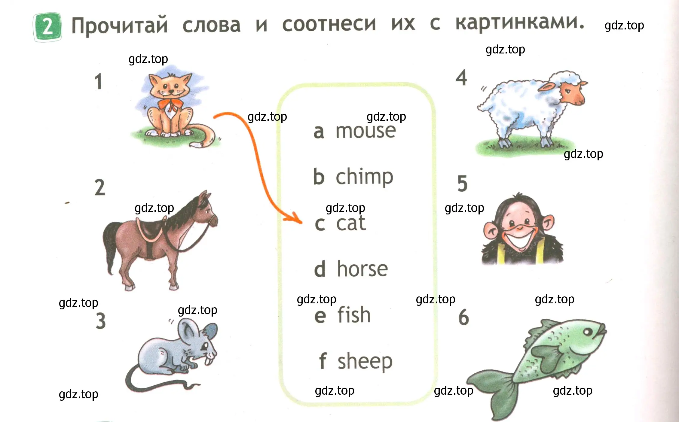 Условие номер 2 (страница 34) гдз по английскому языку 2 класс Быкова, Дули, рабочая тетрадь