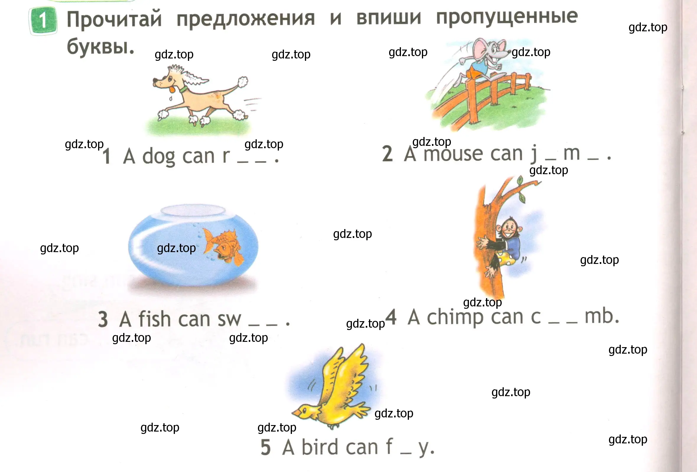 Условие номер 1 (страница 36) гдз по английскому языку 2 класс Быкова, Дули, рабочая тетрадь