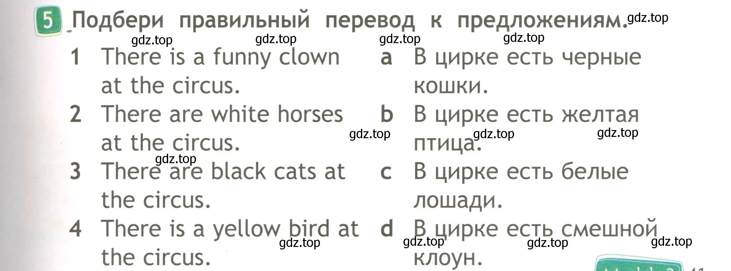 Условие номер 5 (страница 41) гдз по английскому языку 2 класс Быкова, Дули, рабочая тетрадь