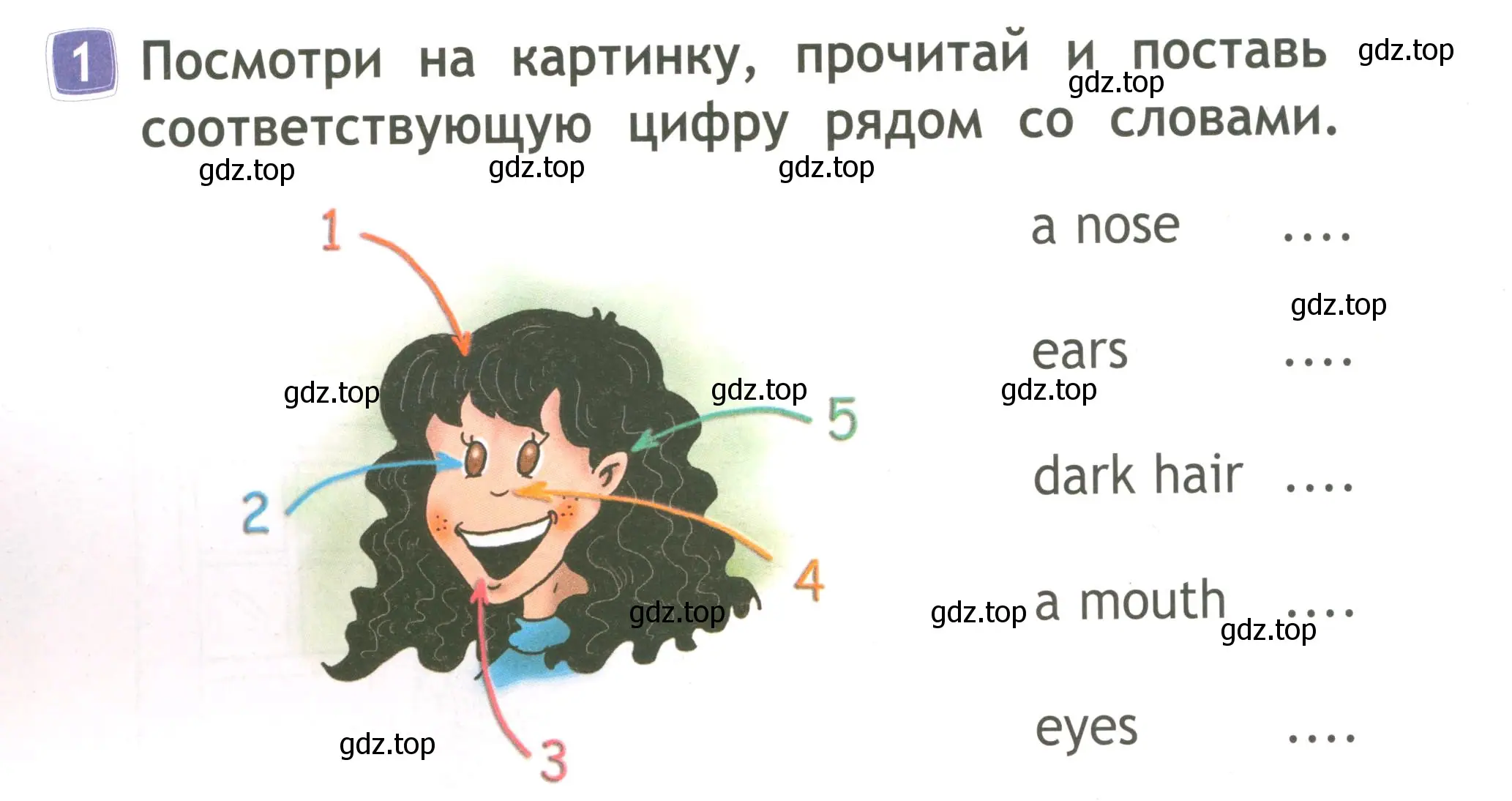 Условие номер 1 (страница 46) гдз по английскому языку 2 класс Быкова, Дули, рабочая тетрадь