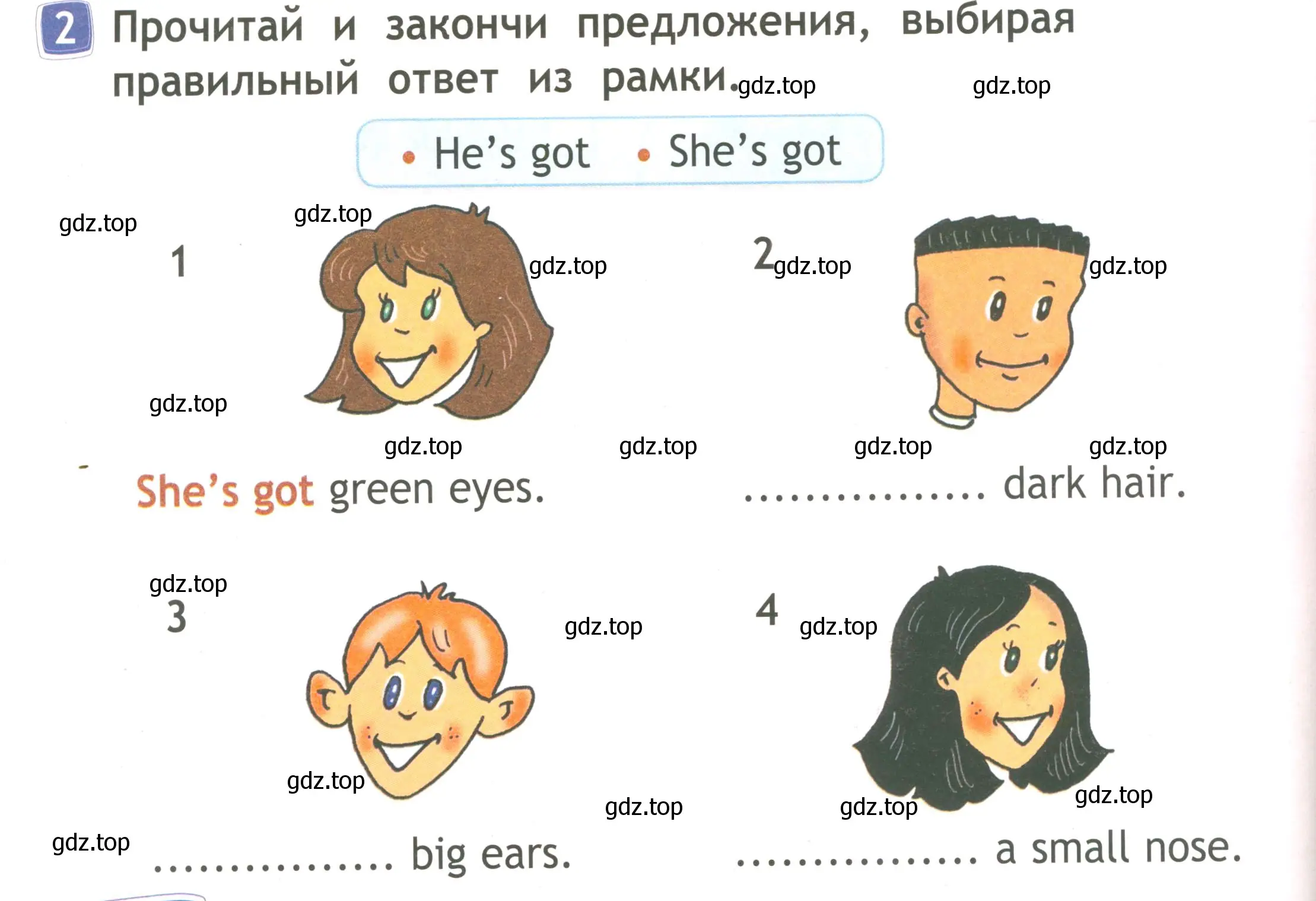 Условие номер 2 (страница 46) гдз по английскому языку 2 класс Быкова, Дули, рабочая тетрадь