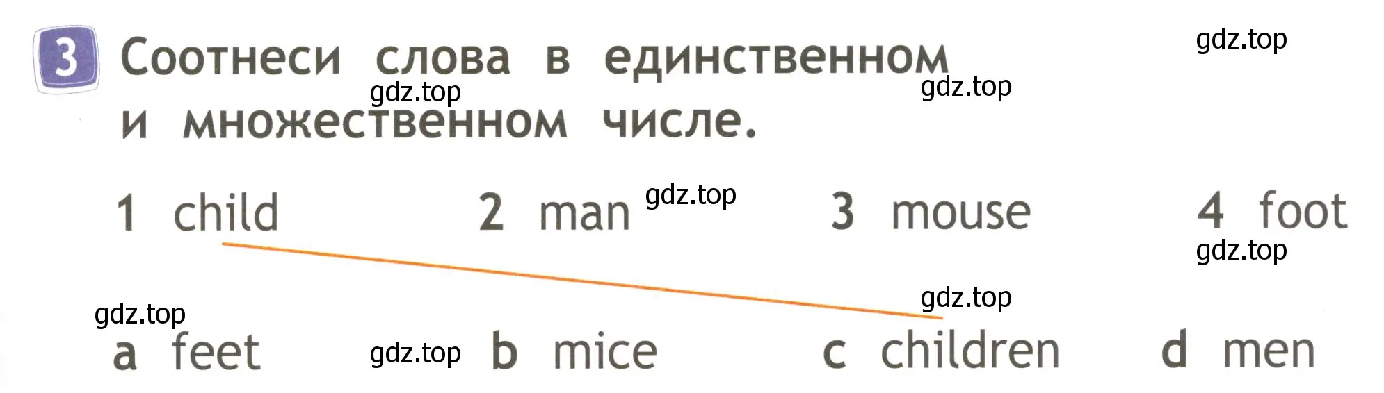 Условие номер 3 (страница 47) гдз по английскому языку 2 класс Быкова, Дули, рабочая тетрадь