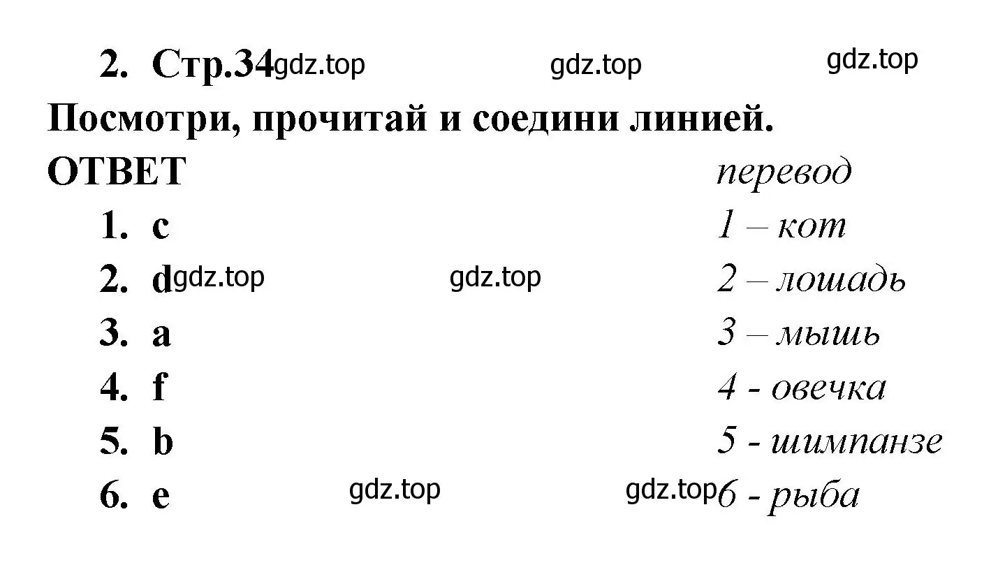 Решение номер 2 (страница 34) гдз по английскому языку 2 класс Быкова, Дули, рабочая тетрадь