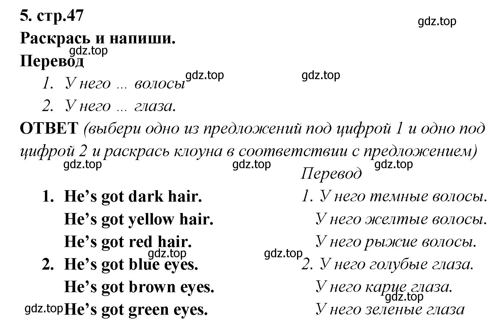 Решение номер 5 (страница 47) гдз по английскому языку 2 класс Быкова, Дули, рабочая тетрадь