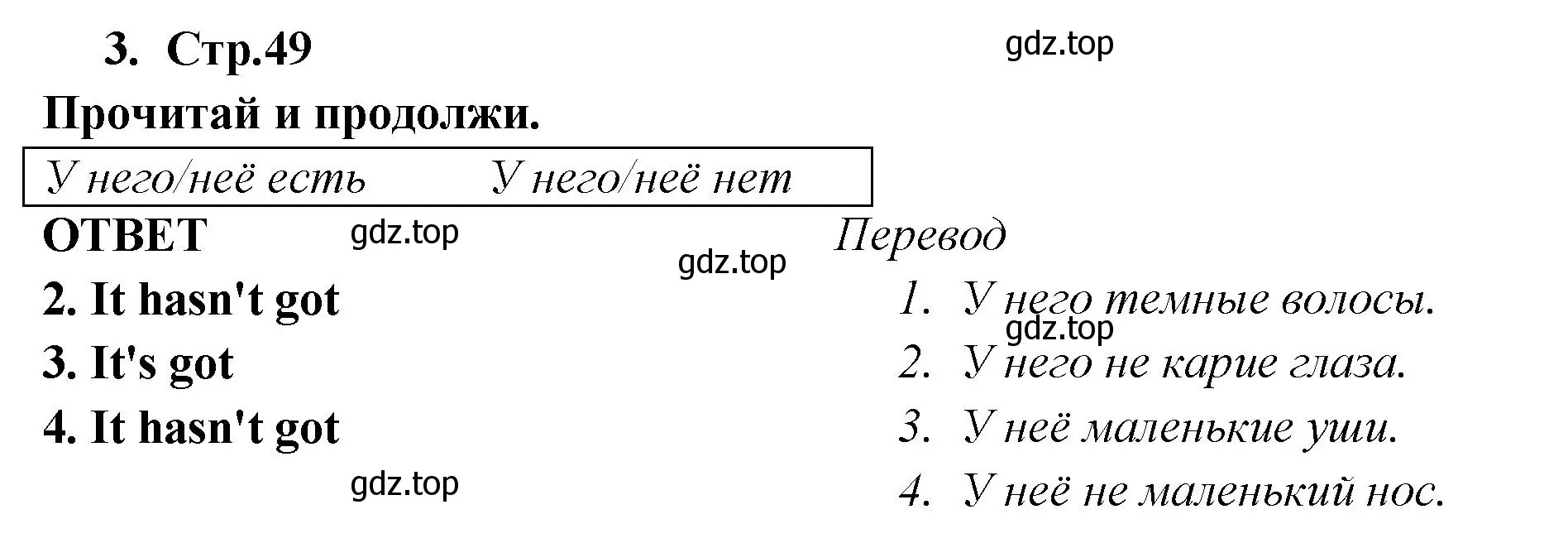 Решение номер 3 (страница 49) гдз по английскому языку 2 класс Быкова, Дули, рабочая тетрадь