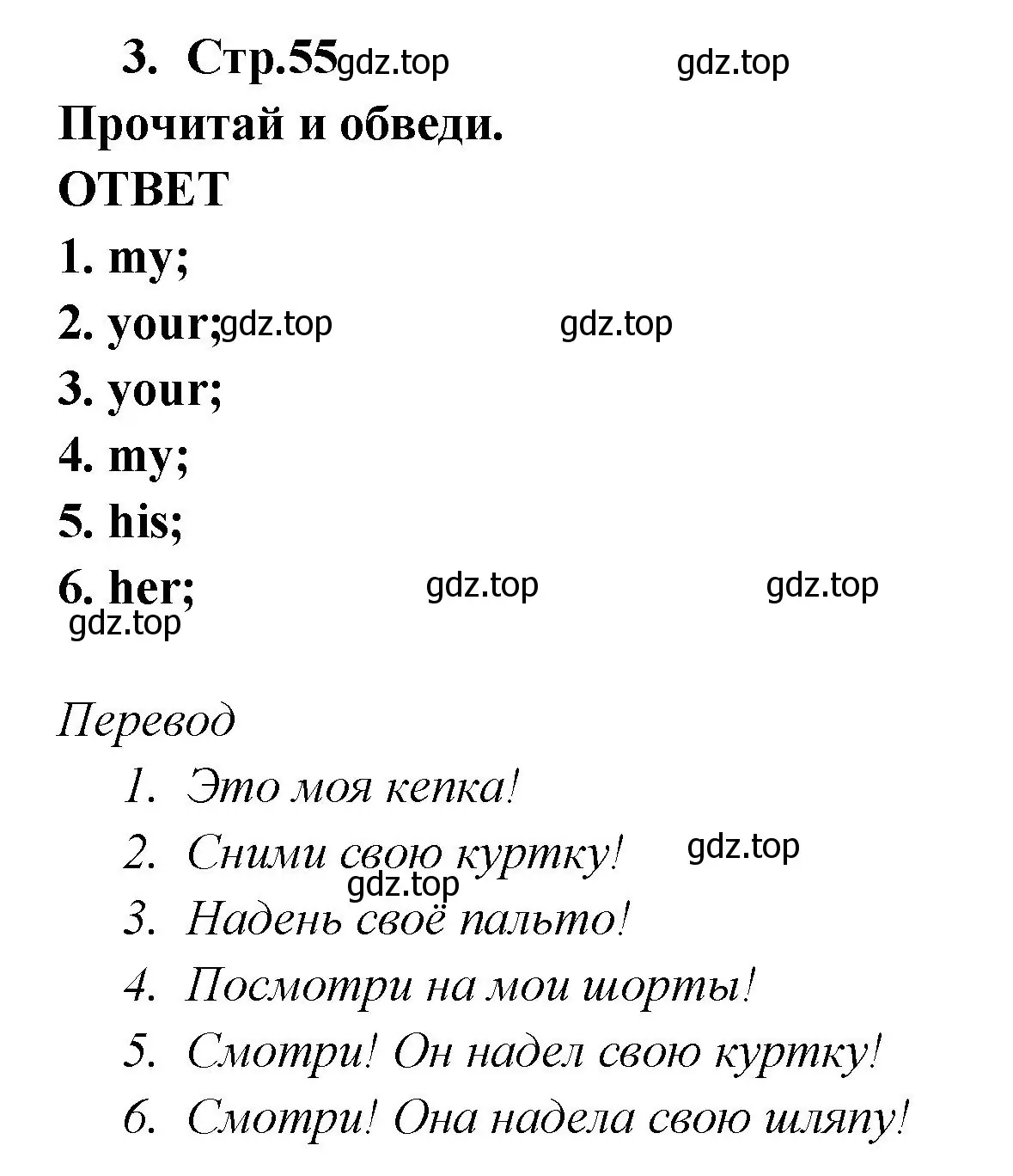 Решение номер 3 (страница 55) гдз по английскому языку 2 класс Быкова, Дули, рабочая тетрадь