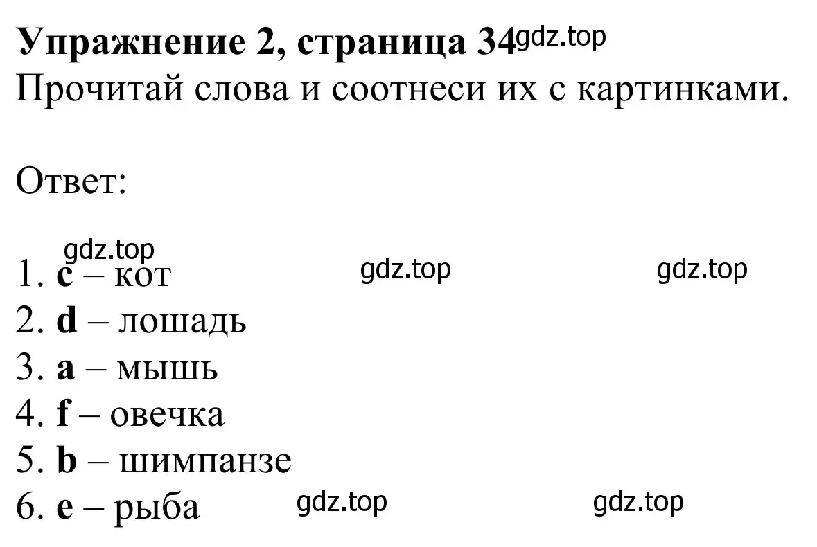 Решение 2. номер 2 (страница 34) гдз по английскому языку 2 класс Быкова, Дули, рабочая тетрадь