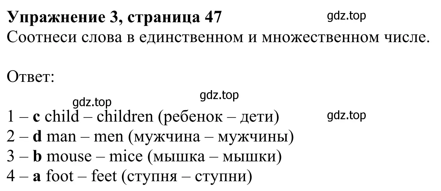 Решение 2. номер 3 (страница 47) гдз по английскому языку 2 класс Быкова, Дули, рабочая тетрадь