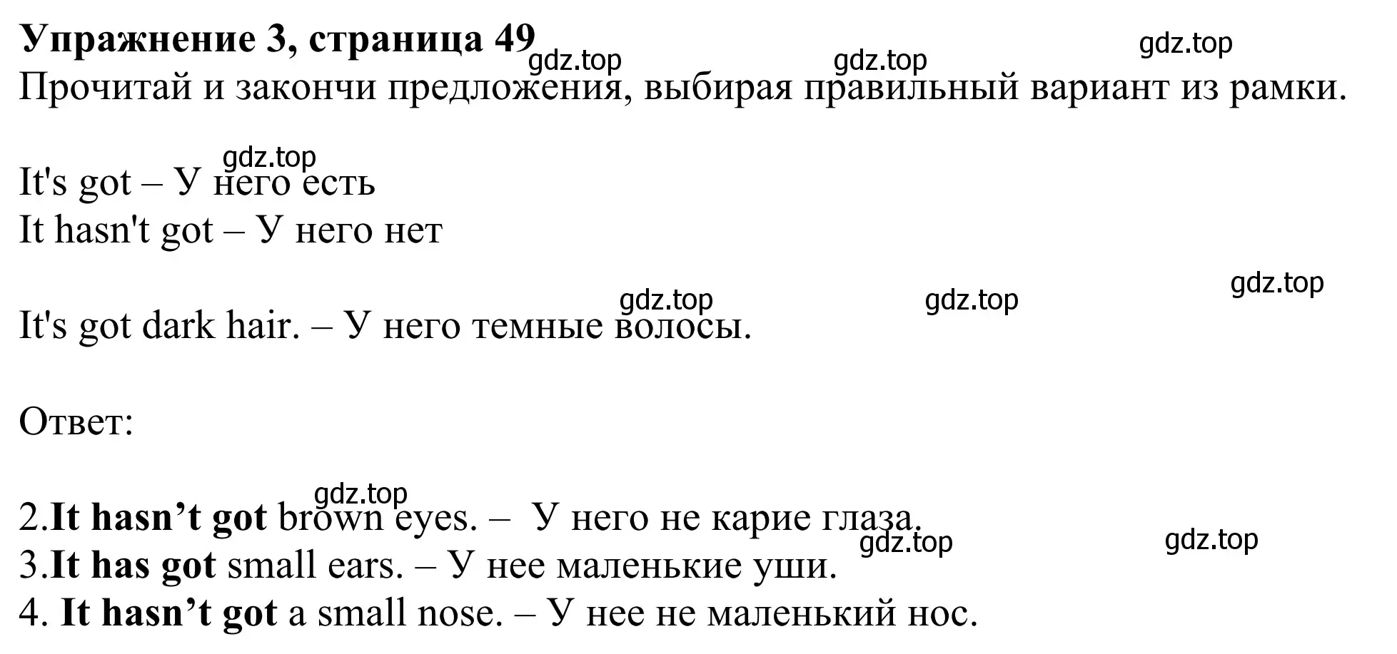 Решение 2. номер 3 (страница 49) гдз по английскому языку 2 класс Быкова, Дули, рабочая тетрадь