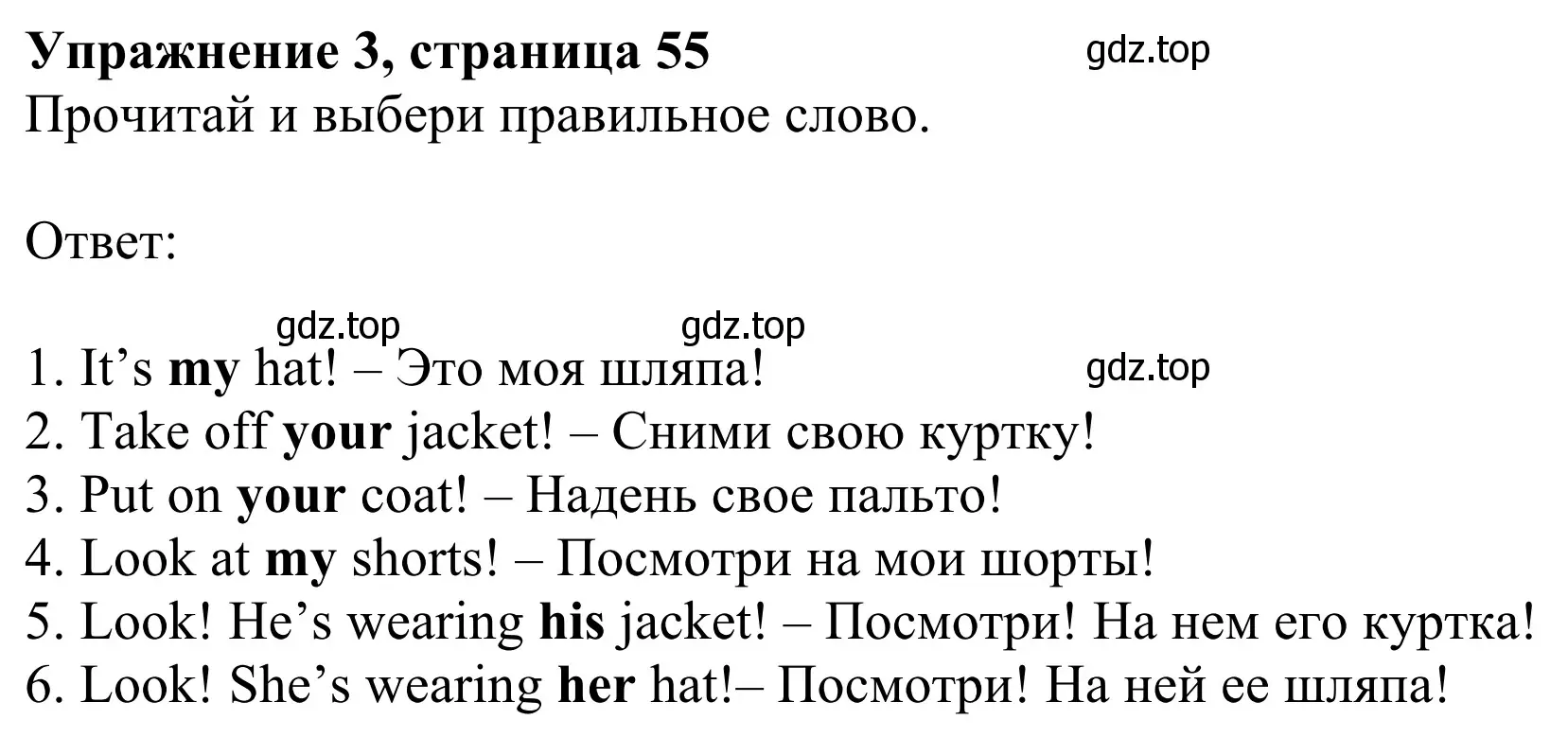 Решение 2. номер 3 (страница 55) гдз по английскому языку 2 класс Быкова, Дули, рабочая тетрадь