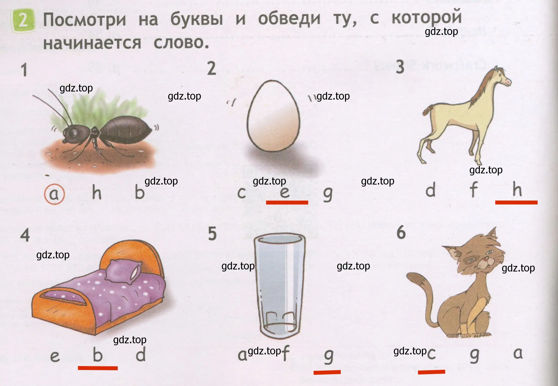 Решение 3. номер 2 (страница 4) гдз по английскому языку 2 класс Быкова, Дули, рабочая тетрадь