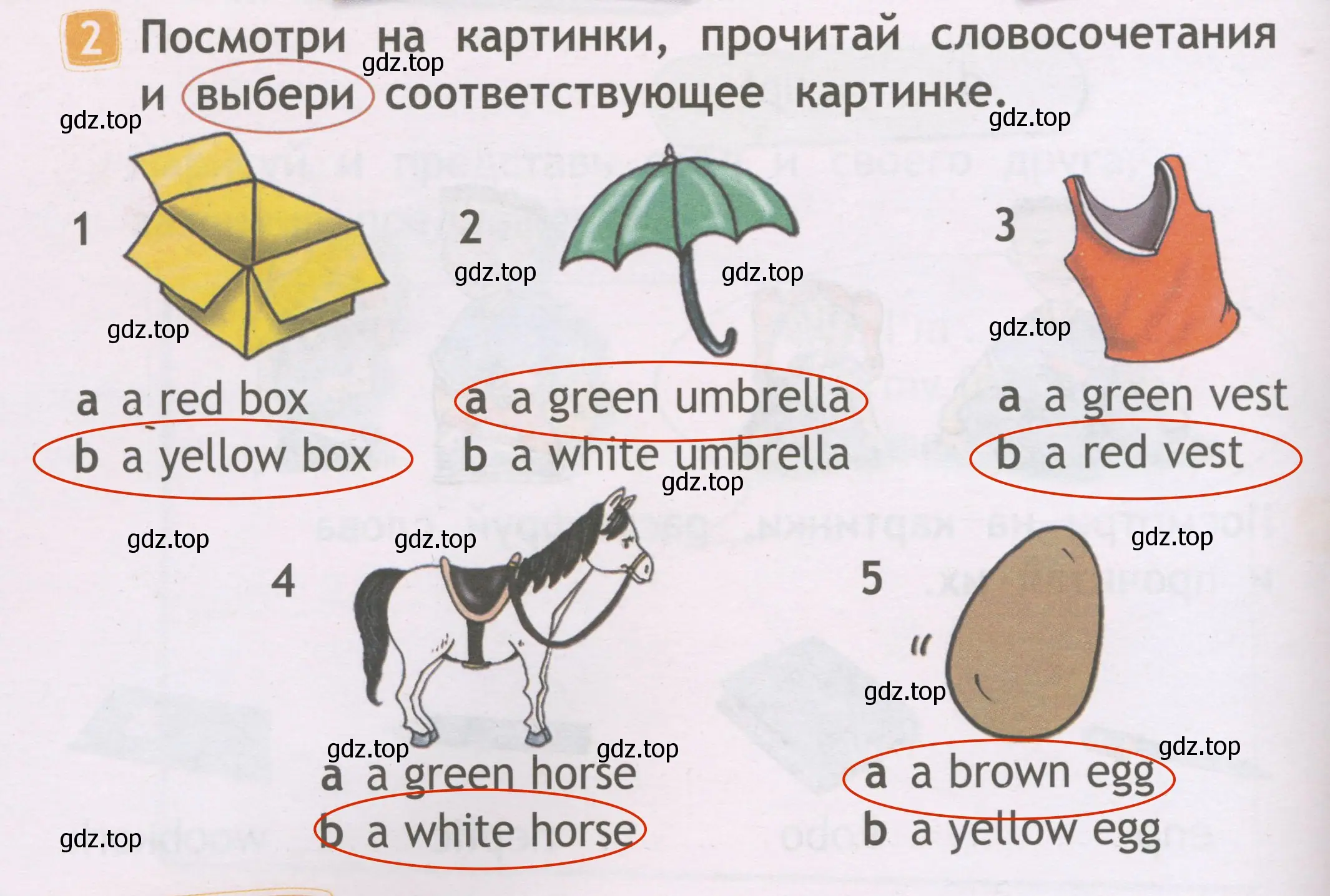 Решение 3. номер 2 (страница 12) гдз по английскому языку 2 класс Быкова, Дули, рабочая тетрадь