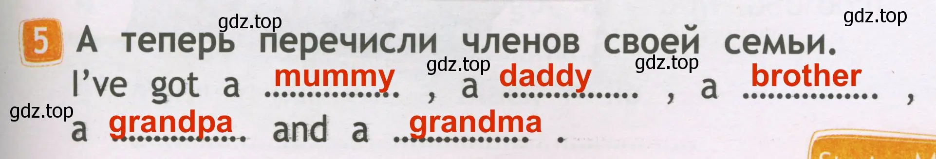 Решение 3. номер 5 (страница 13) гдз по английскому языку 2 класс Быкова, Дули, рабочая тетрадь