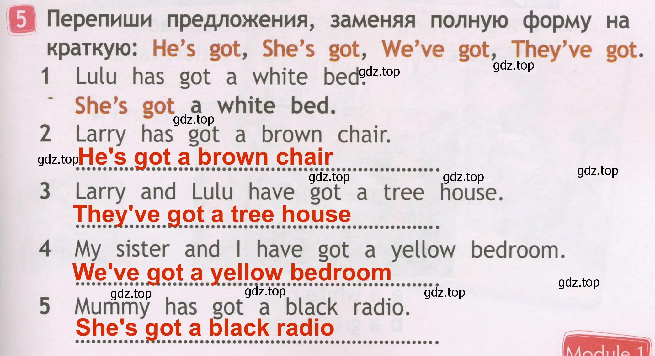 Решение 3. номер 5 (страница 15) гдз по английскому языку 2 класс Быкова, Дули, рабочая тетрадь