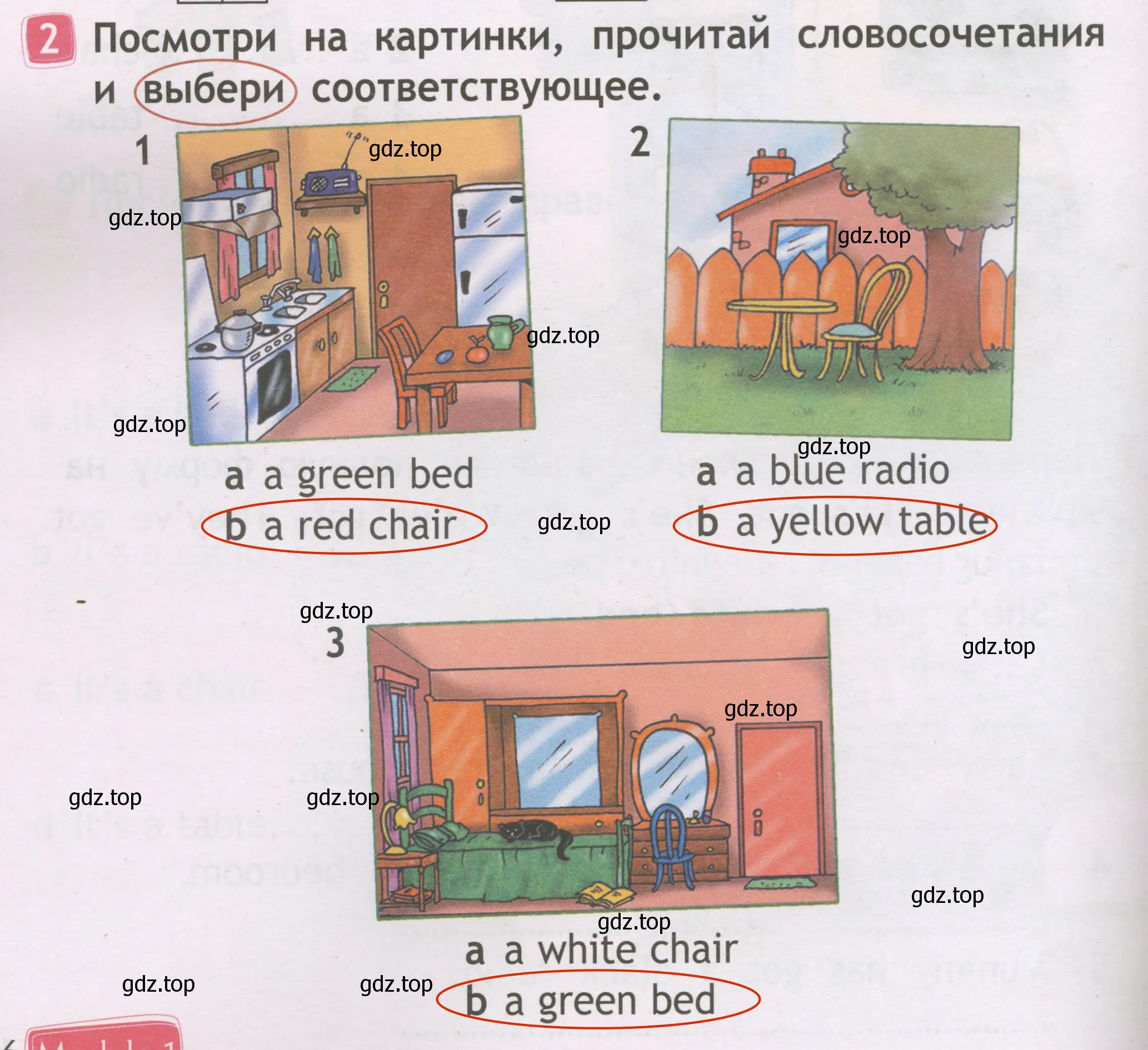 Решение 3. номер 2 (страница 16) гдз по английскому языку 2 класс Быкова, Дули, рабочая тетрадь