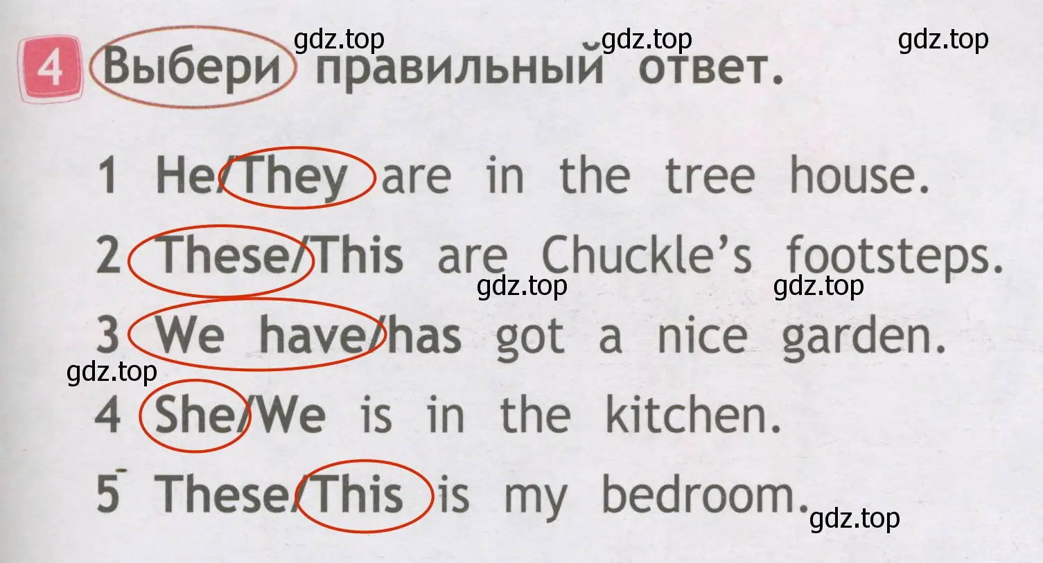 Решение 3. номер 4 (страница 21) гдз по английскому языку 2 класс Быкова, Дули, рабочая тетрадь