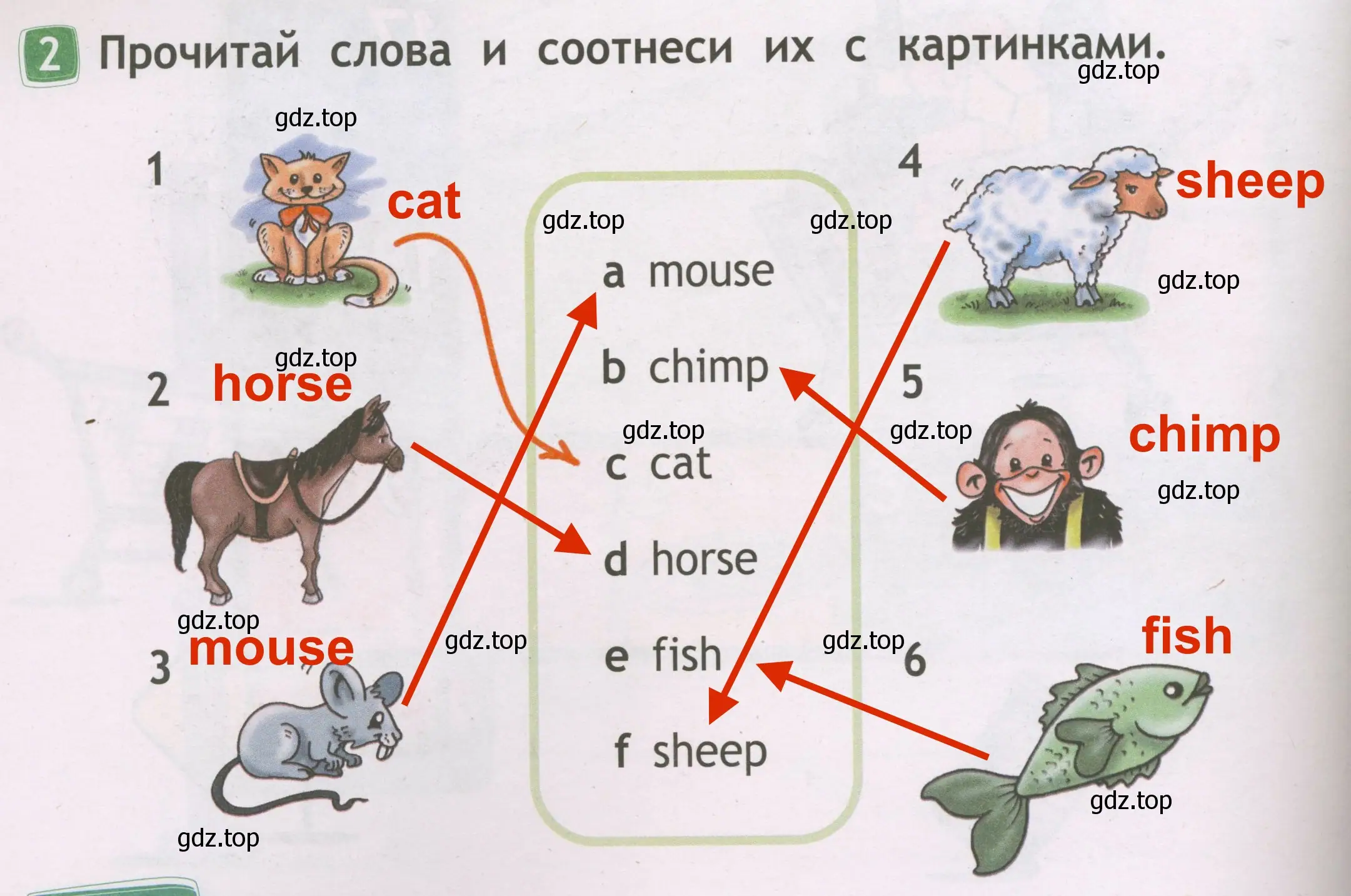 Решение 3. номер 2 (страница 34) гдз по английскому языку 2 класс Быкова, Дули, рабочая тетрадь