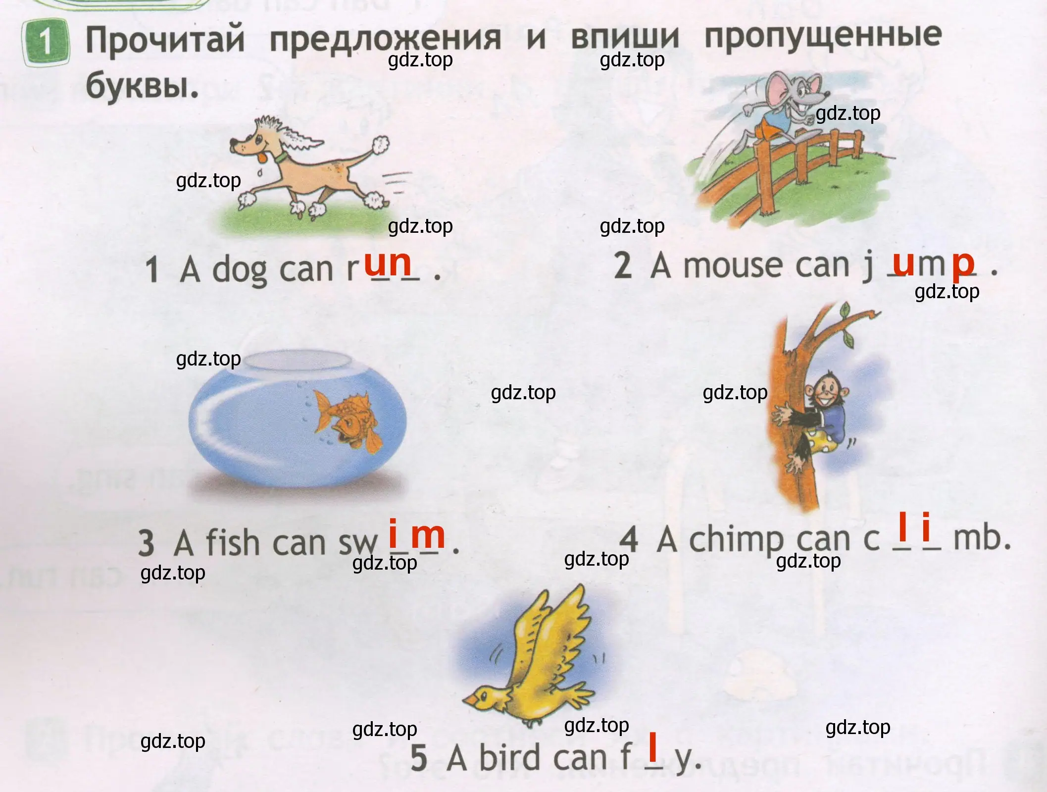 Решение 3. номер 1 (страница 36) гдз по английскому языку 2 класс Быкова, Дули, рабочая тетрадь