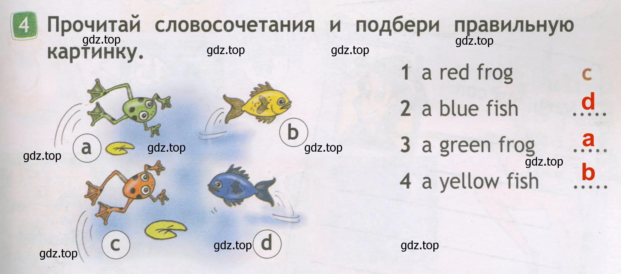 Решение 3. номер 4 (страница 41) гдз по английскому языку 2 класс Быкова, Дули, рабочая тетрадь