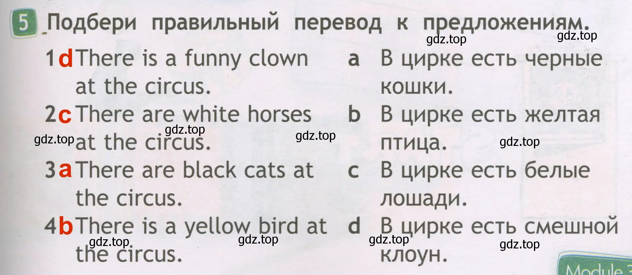 Решение 3. номер 5 (страница 41) гдз по английскому языку 2 класс Быкова, Дули, рабочая тетрадь