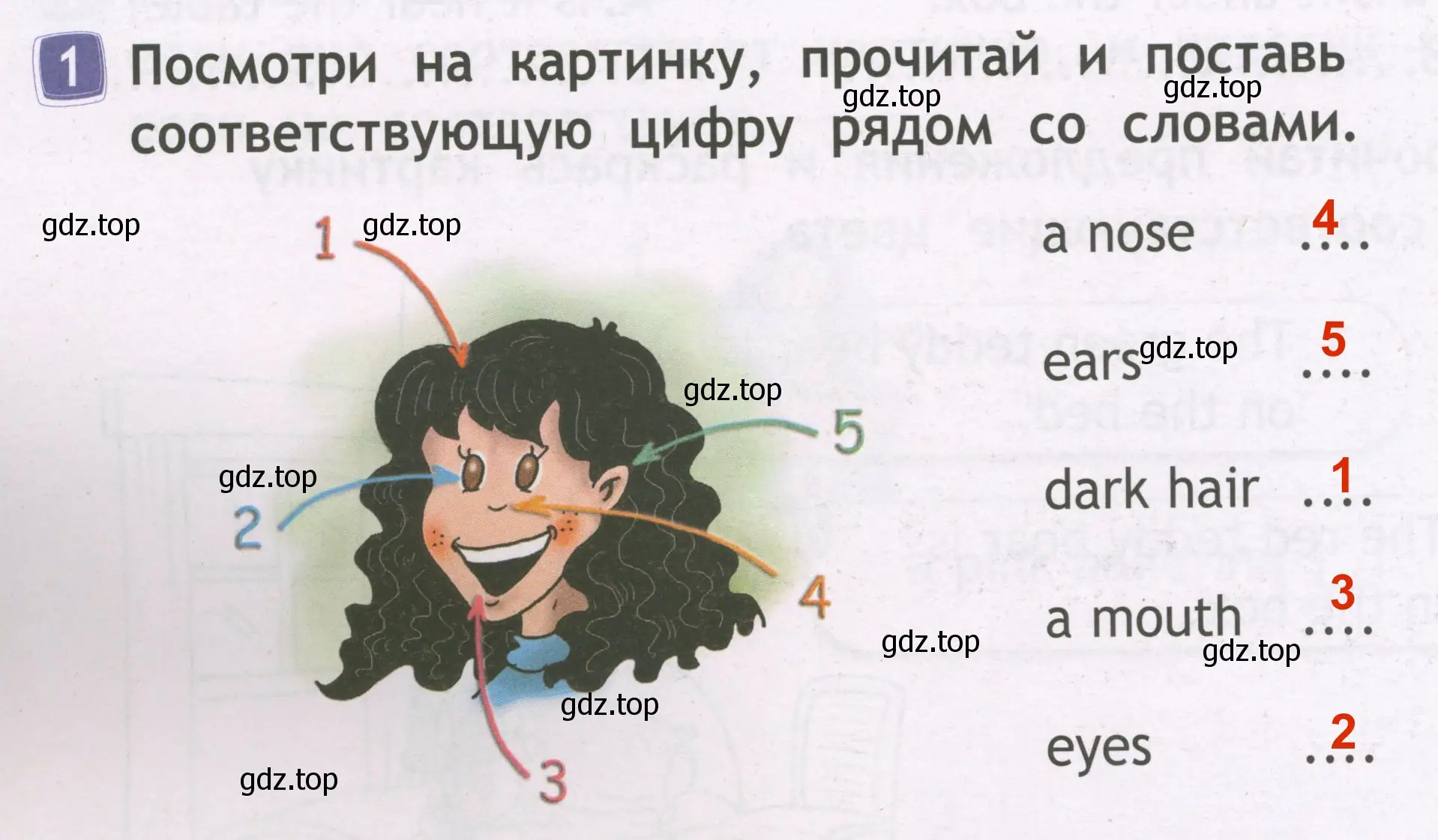 Решение 3. номер 1 (страница 46) гдз по английскому языку 2 класс Быкова, Дули, рабочая тетрадь