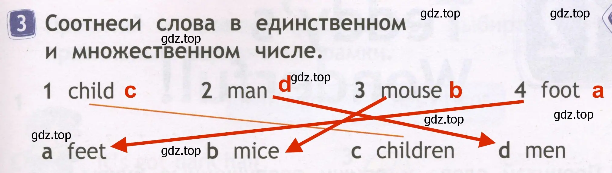 Решение 3. номер 3 (страница 47) гдз по английскому языку 2 класс Быкова, Дули, рабочая тетрадь