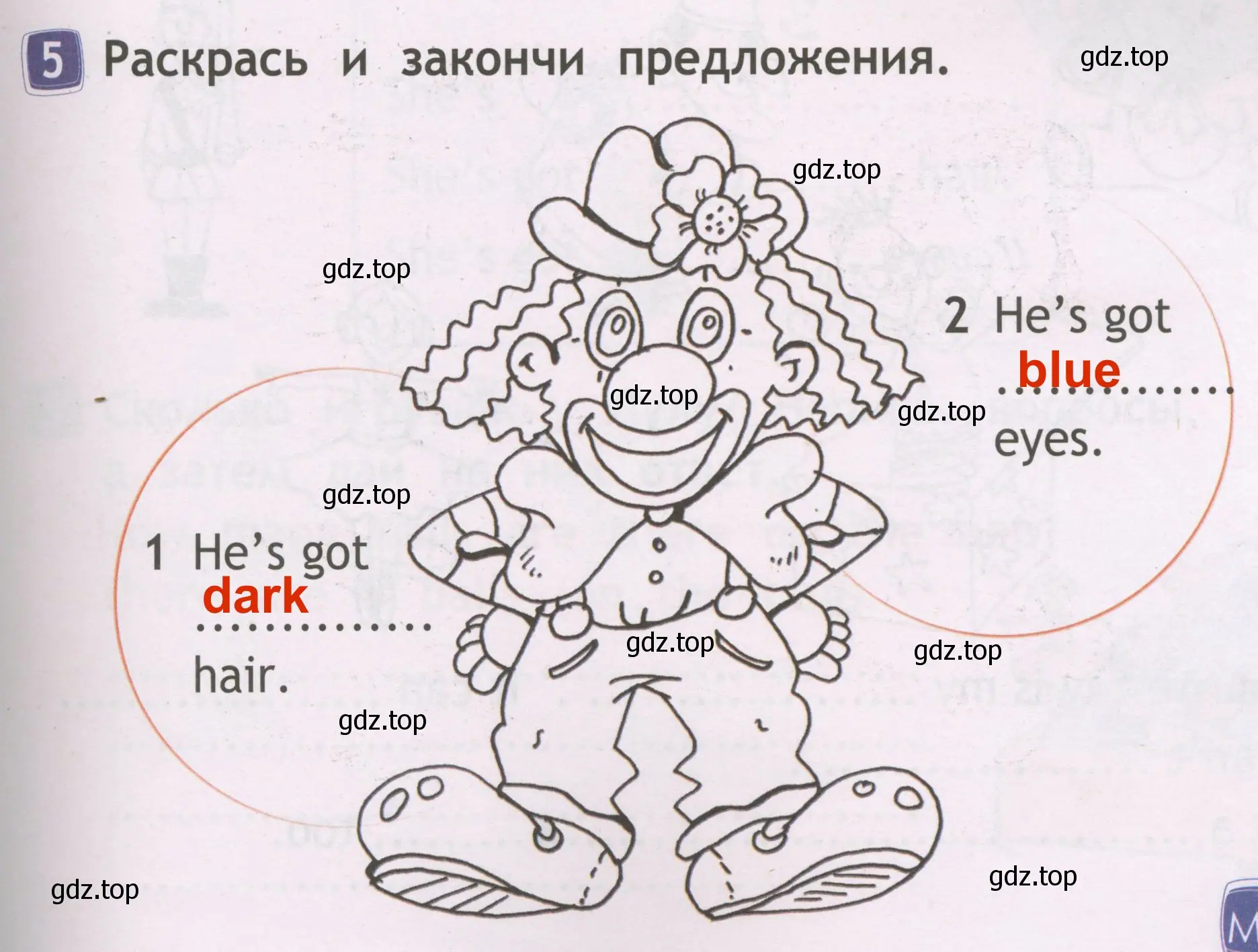 Решение 3. номер 5 (страница 47) гдз по английскому языку 2 класс Быкова, Дули, рабочая тетрадь