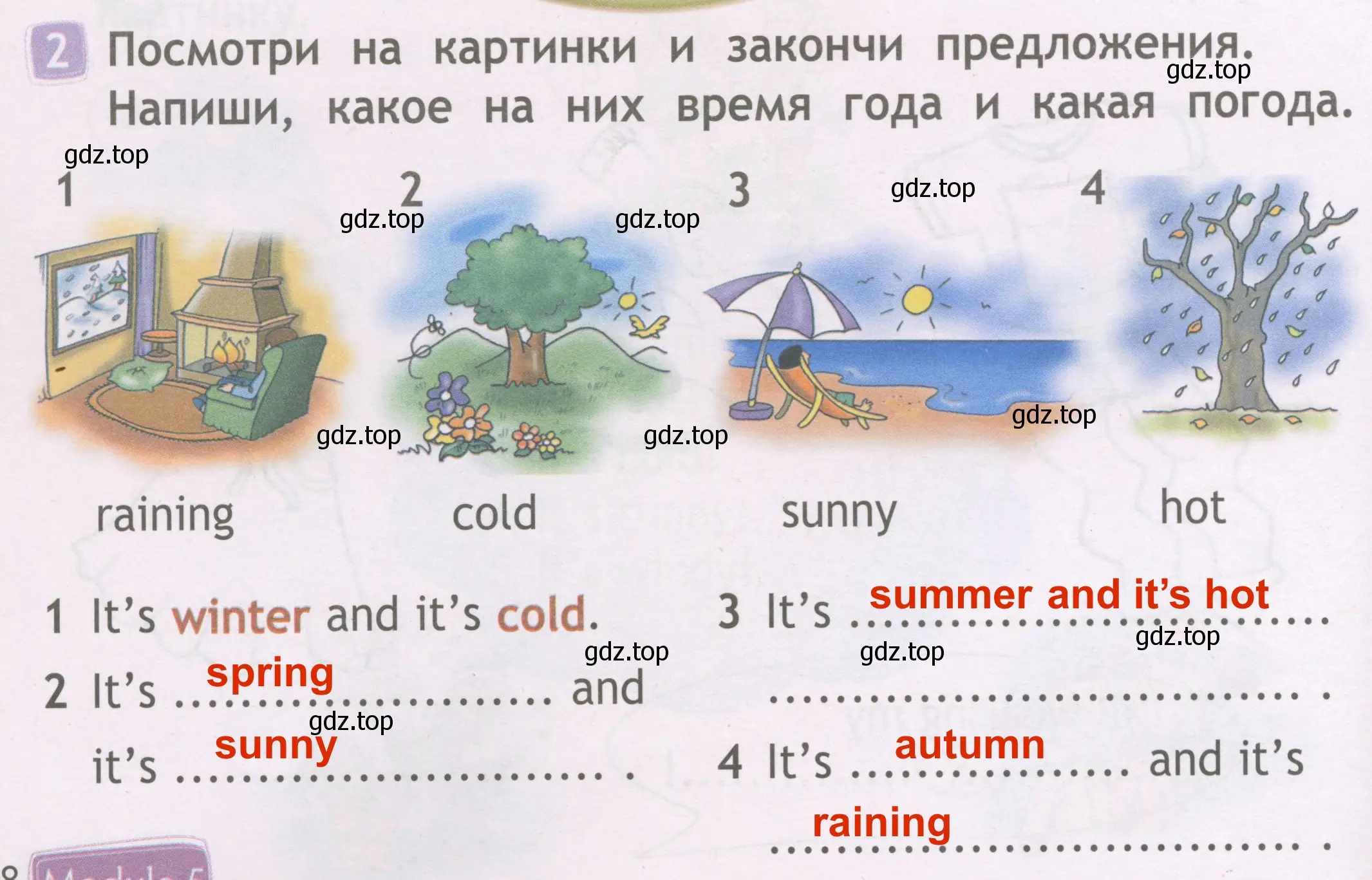 Решение 3. номер 2 (страница 58) гдз по английскому языку 2 класс Быкова, Дули, рабочая тетрадь