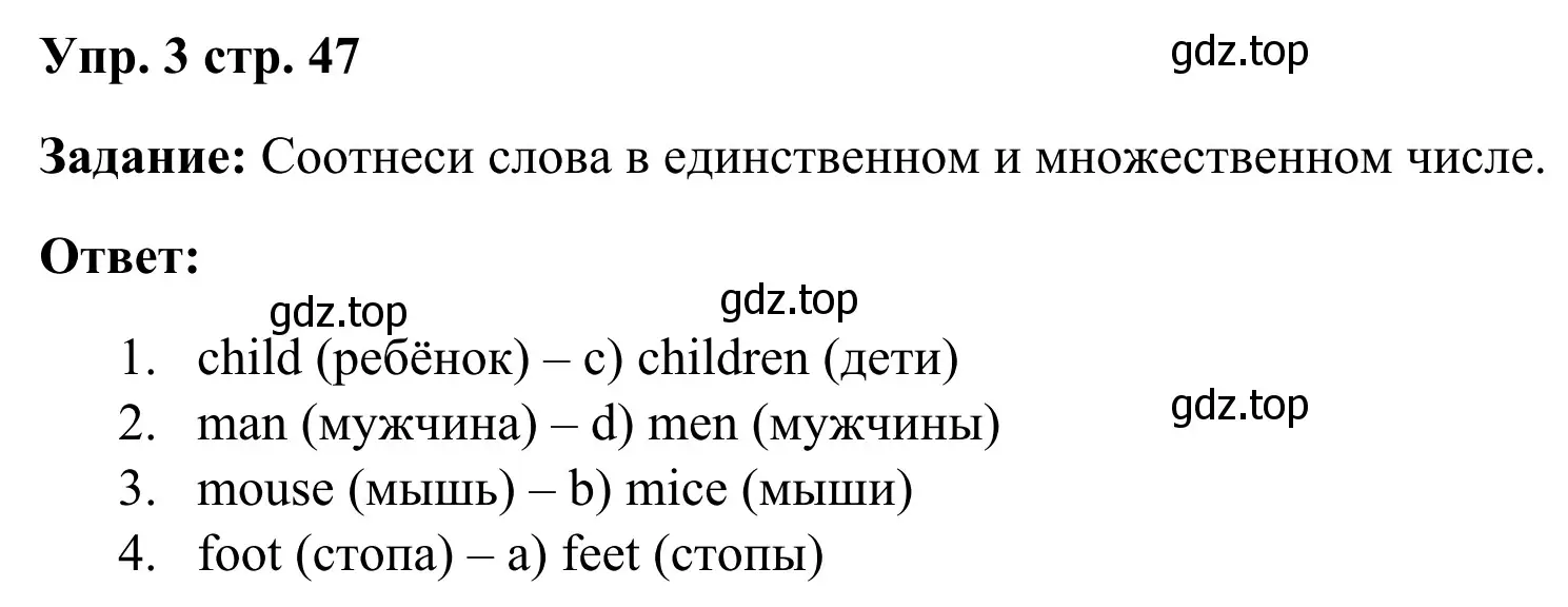 Решение 4. номер 3 (страница 47) гдз по английскому языку 2 класс Быкова, Дули, рабочая тетрадь