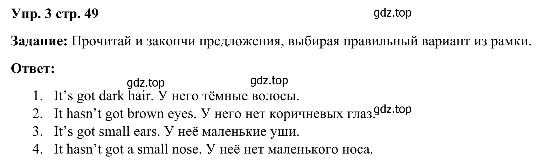 Решение 4. номер 3 (страница 49) гдз по английскому языку 2 класс Быкова, Дули, рабочая тетрадь