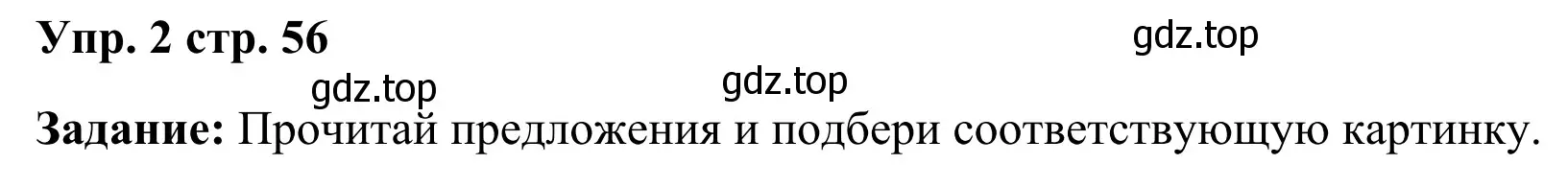 Решение 4. номер 2 (страница 56) гдз по английскому языку 2 класс Быкова, Дули, рабочая тетрадь