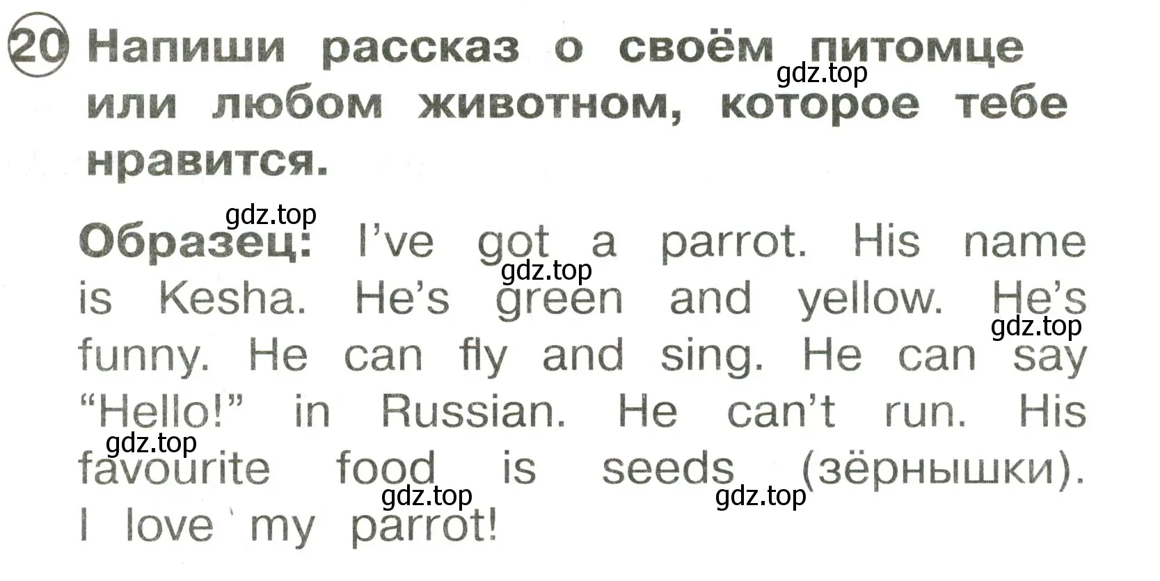 Условие номер 20 (страница 79) гдз по английскому языку 2 класс Быкова, Поспелова, сборник упражнений