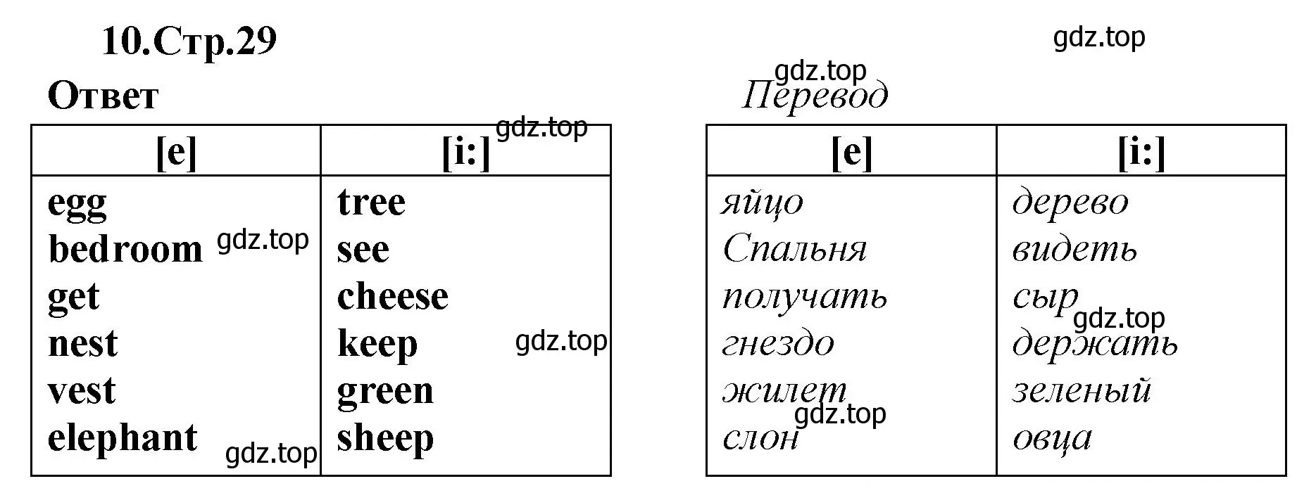 Решение номер 10 (страница 29) гдз по английскому языку 2 класс Быкова, Поспелова, сборник упражнений