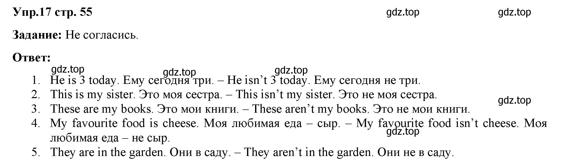 Решение 2. номер 17 (страница 55) гдз по английскому языку 2 класс Быкова, Поспелова, сборник упражнений