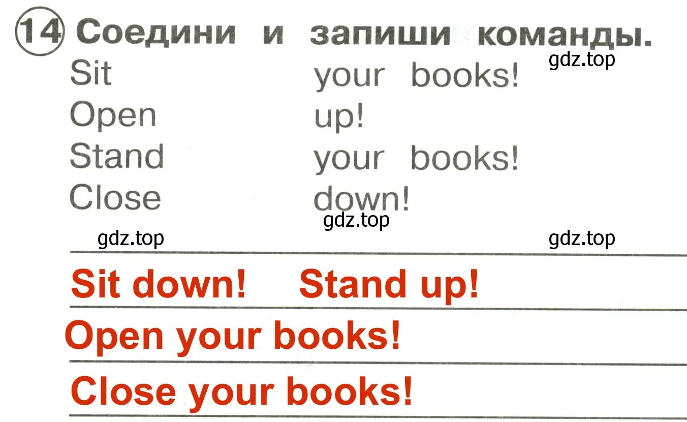 Решение 3. номер 14 (страница 12) гдз по английскому языку 2 класс Быкова, Поспелова, сборник упражнений