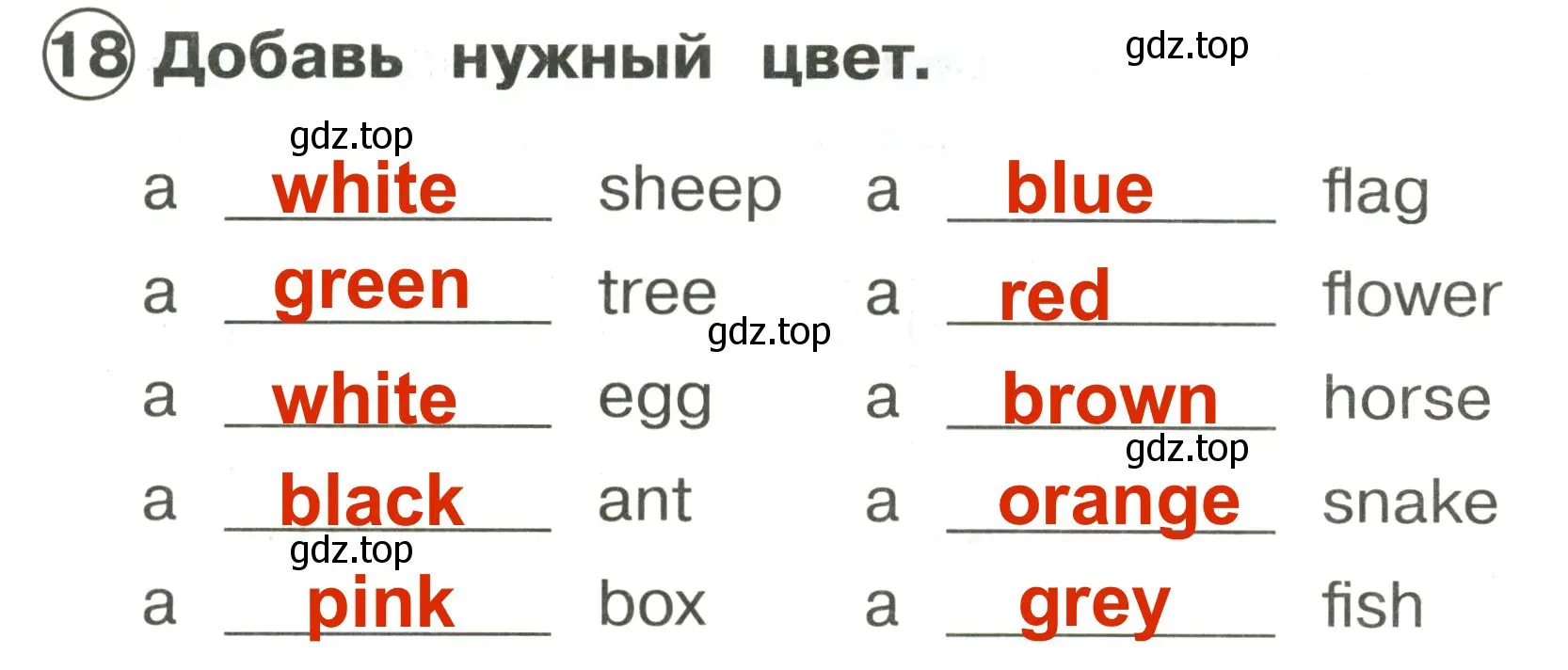 Решение 3. номер 18 (страница 14) гдз по английскому языку 2 класс Быкова, Поспелова, сборник упражнений