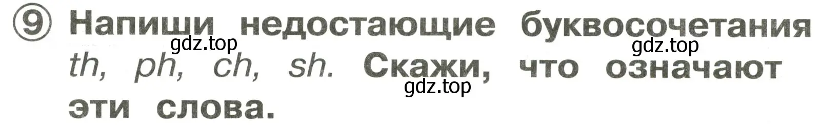 Решение 3. номер 9 (страница 8) гдз по английскому языку 2 класс Быкова, Поспелова, сборник упражнений