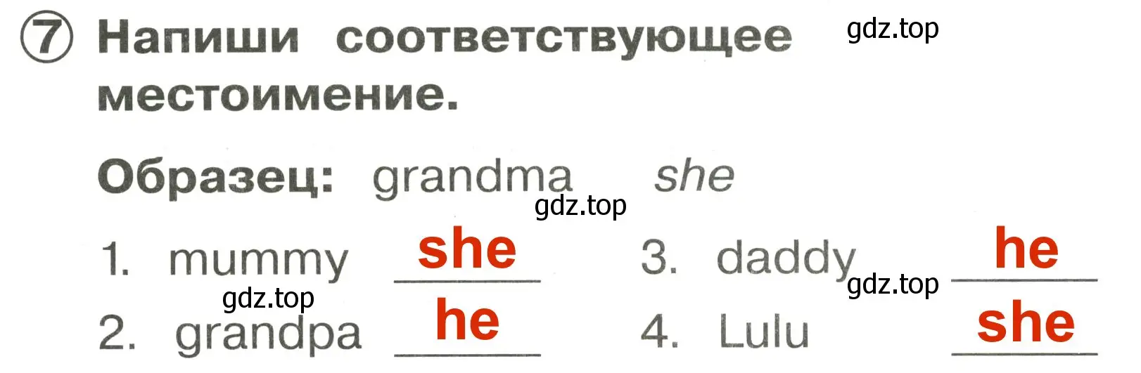 Решение 3. номер 7 (страница 21) гдз по английскому языку 2 класс Быкова, Поспелова, сборник упражнений