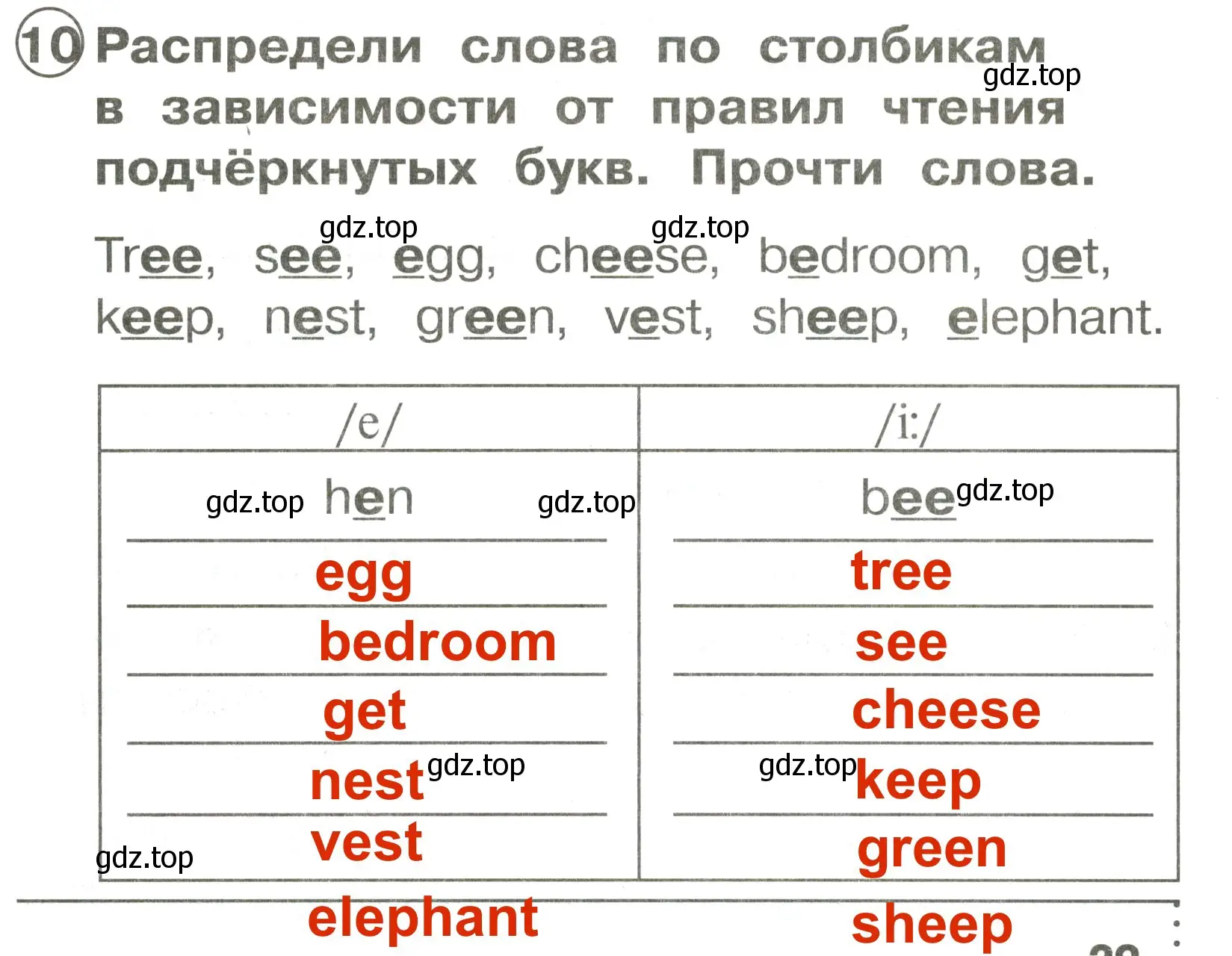 Решение 3. номер 10 (страница 29) гдз по английскому языку 2 класс Быкова, Поспелова, сборник упражнений